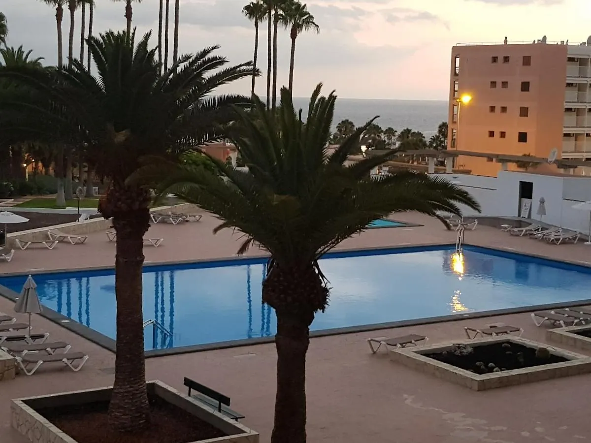 Апартаменты Vina Del Mar Плая-де-лас-Америкас