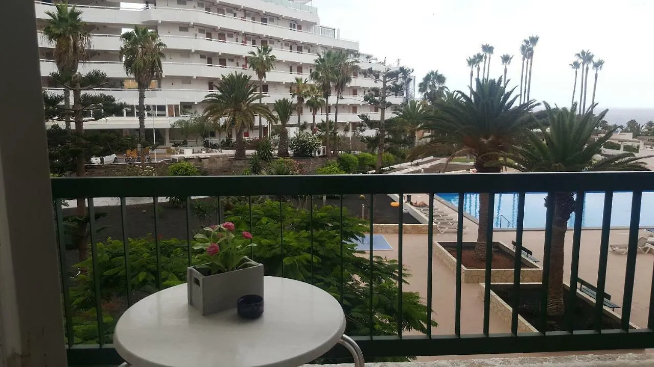 Vina Del Mar Apartment Playa de las Americas